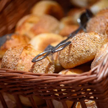 酒店 科隆环形酒店 4*