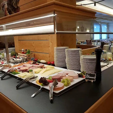 科隆环形酒店 酒店 腓特烈港