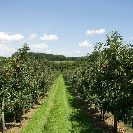 Ringhotel Krone Hotel 4*