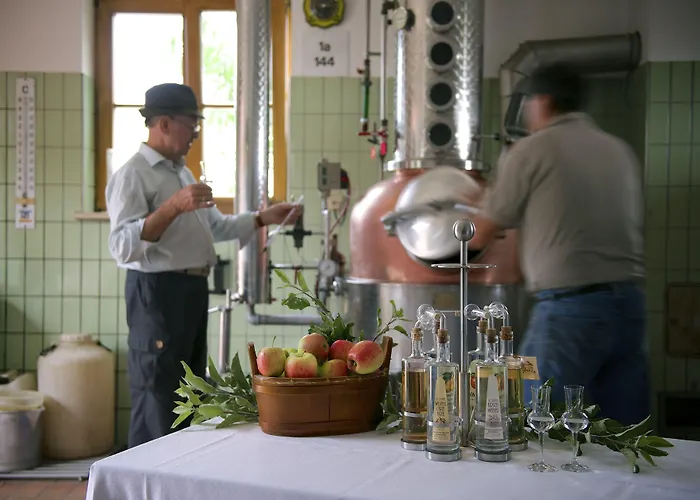 Ringhotel Krone Hotell