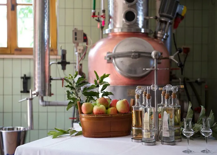 Hotell Ringhotel Krone 4*