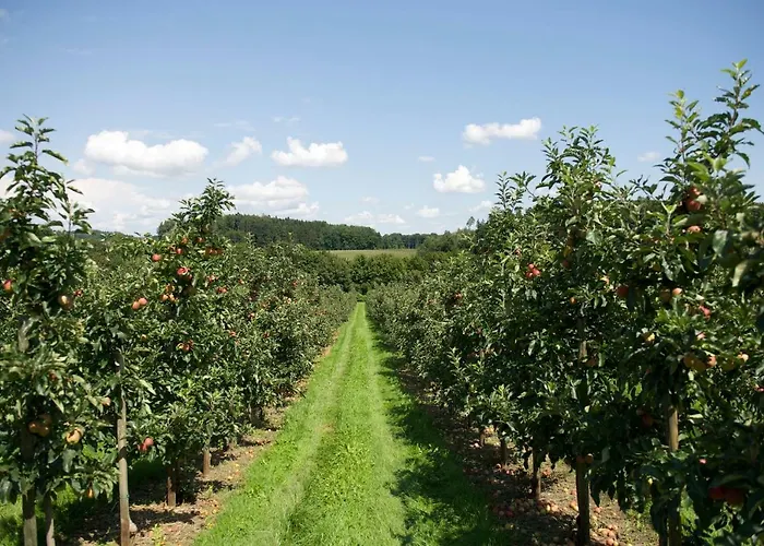 Ringhotel Krone Hotell 4*